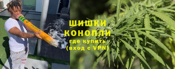 сатива Зерноград
