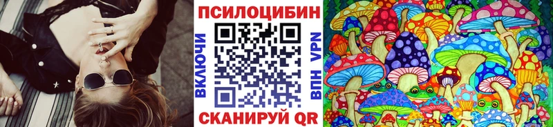 цена   Калязин  Псилоцибиновые грибы Psilocybine cubensis 